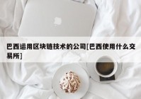 巴西运用区块链技术的公司[巴西使用什么交易所]